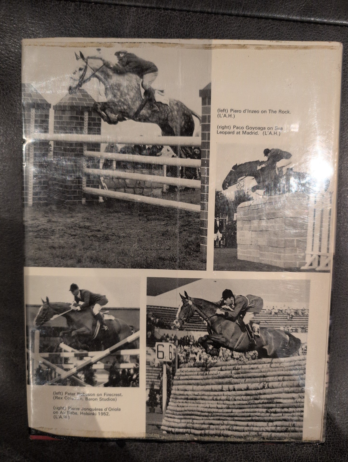 Showjumping
