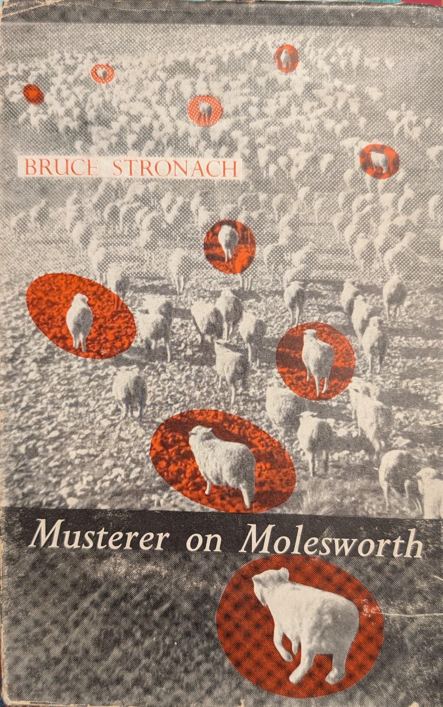 Musterer on Molesworth