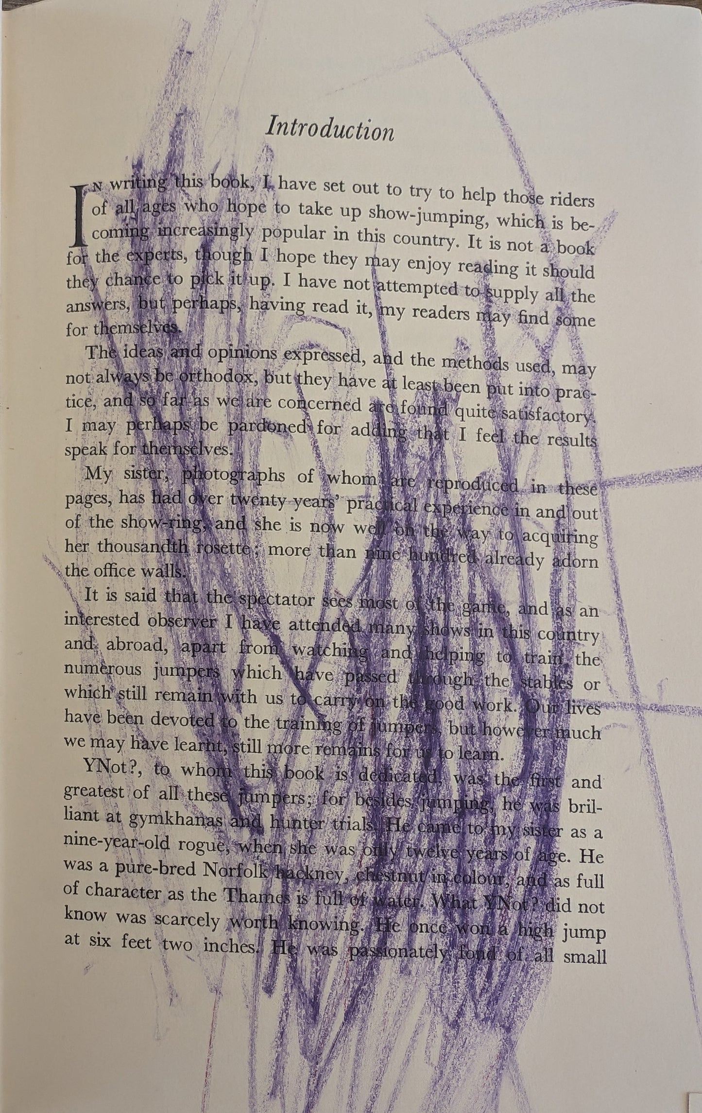 Successful show jumping