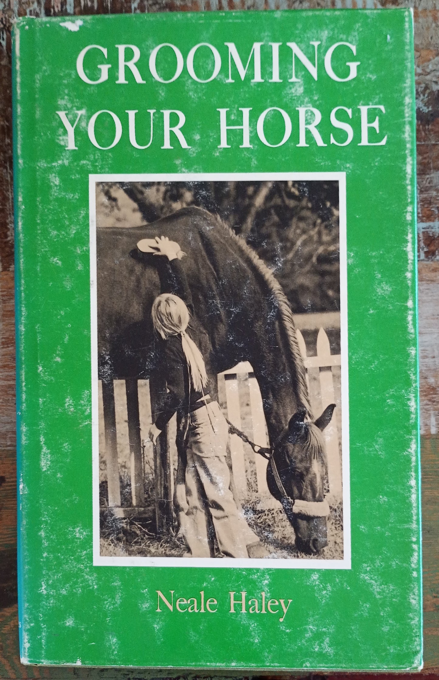 Grooming Your Horse