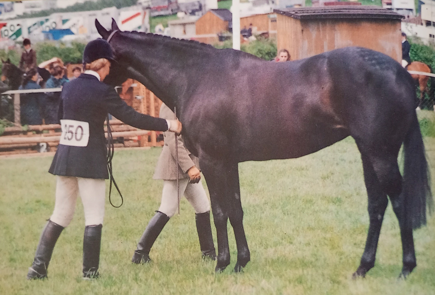 The Complete Book of In Hand Showing