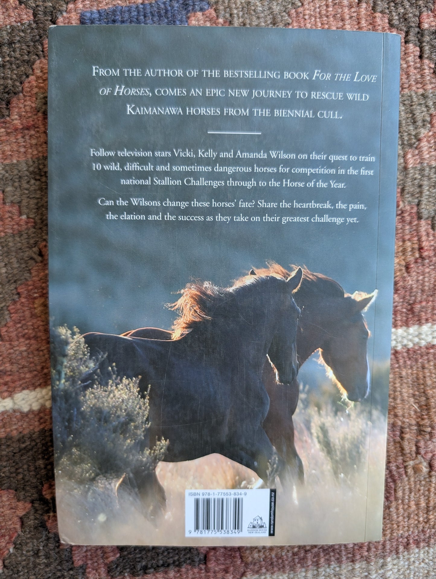 Stallion Challenges