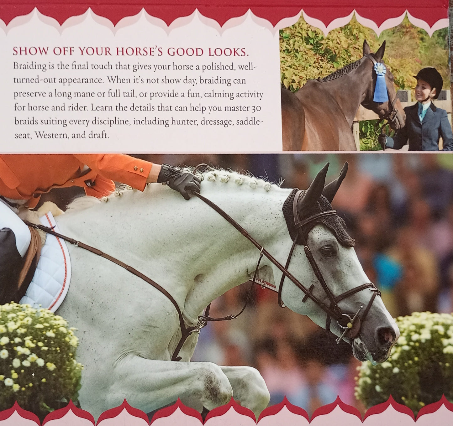 Braiding Manes and Tails