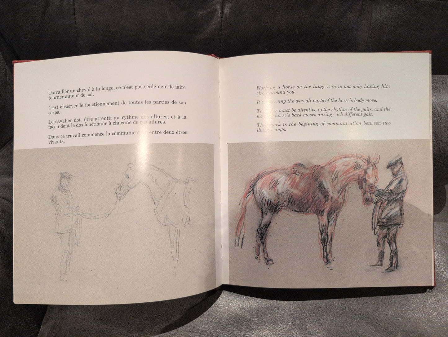Horse and Rider: Annotated Sketches
