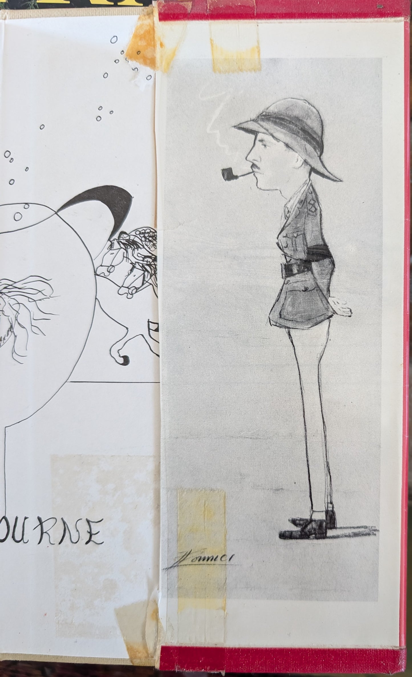 Eighty Years with Horses