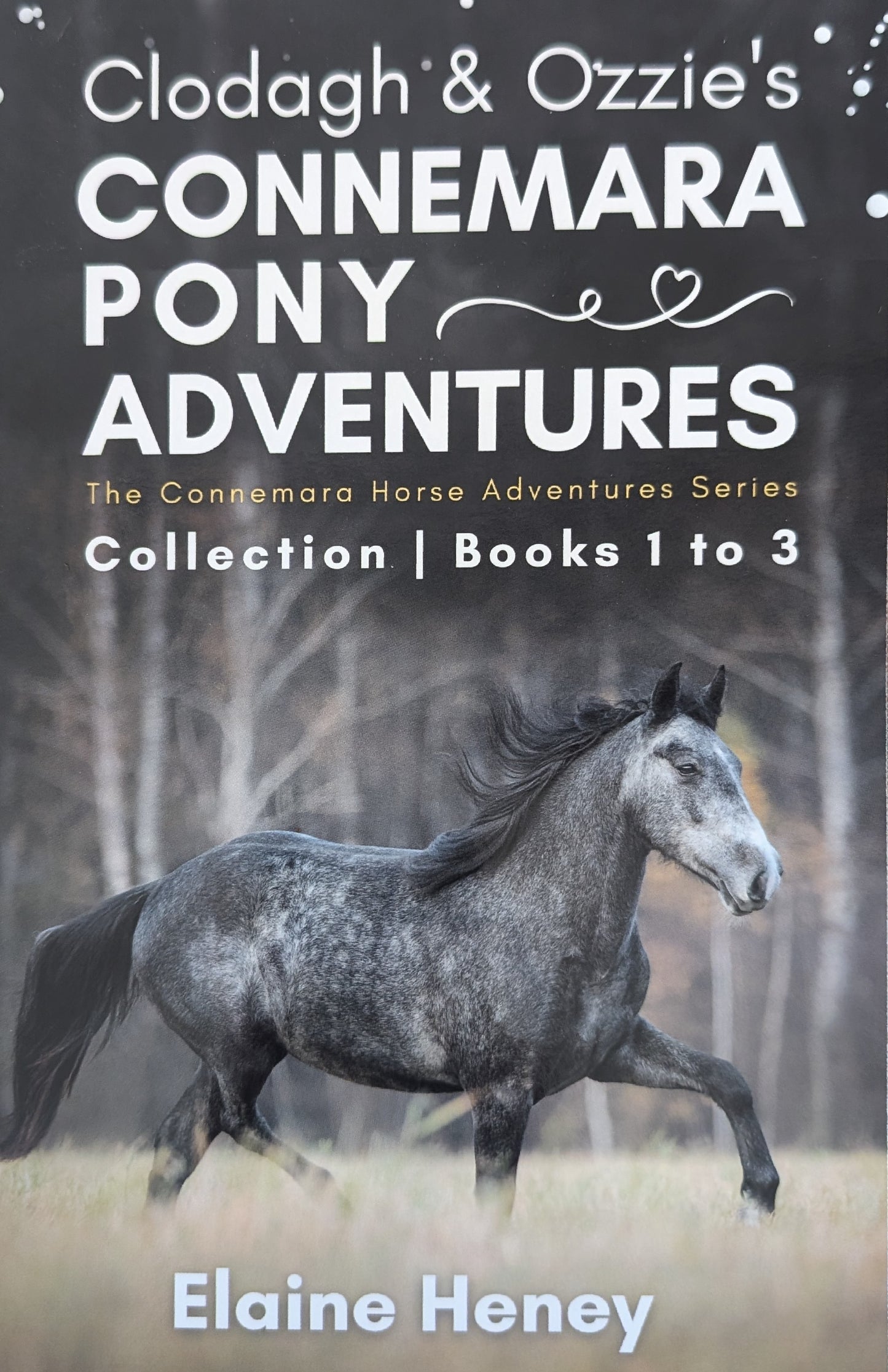 Clodagh & Ozzie's Connemara pony adventures
