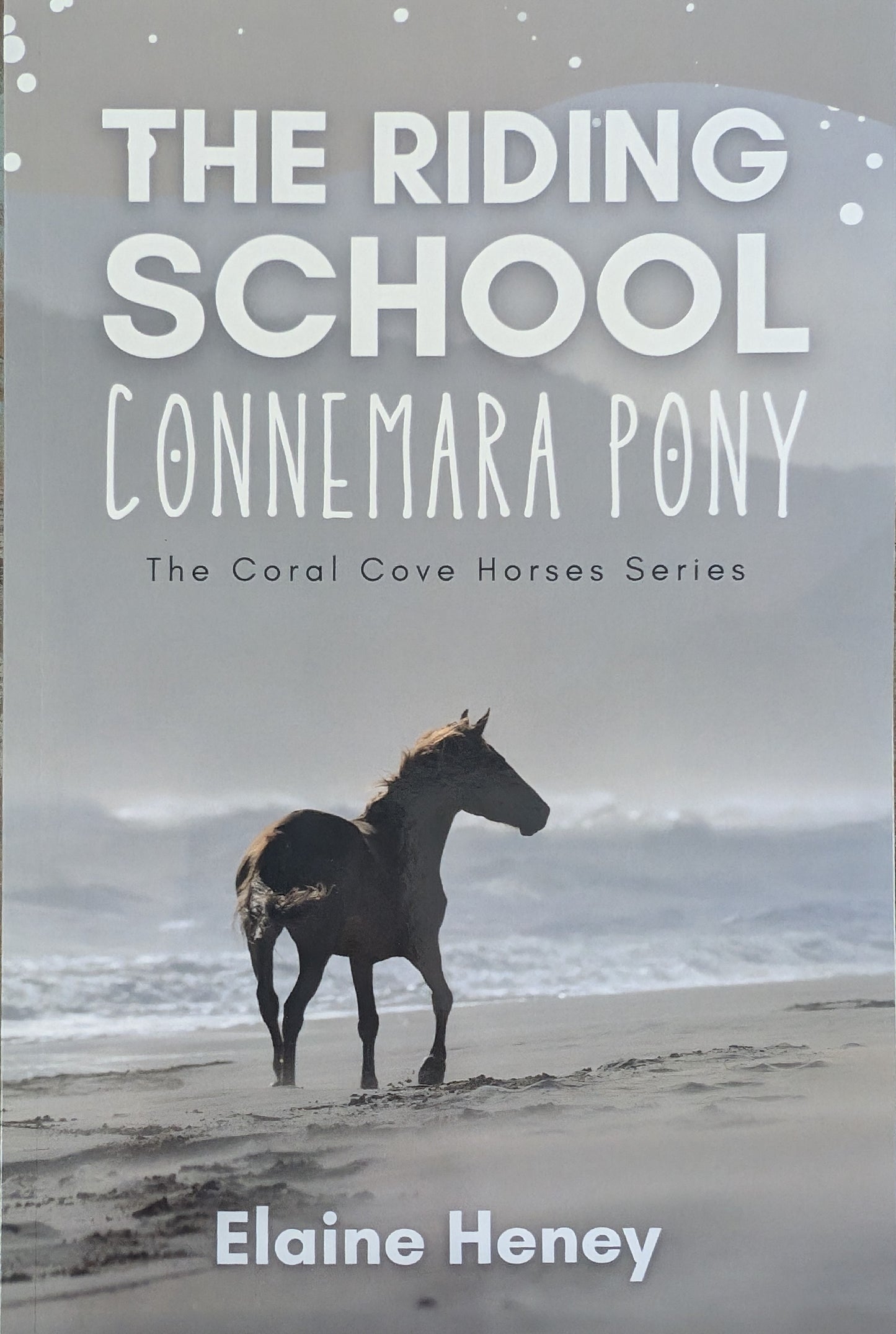 The riding school Connemara pony