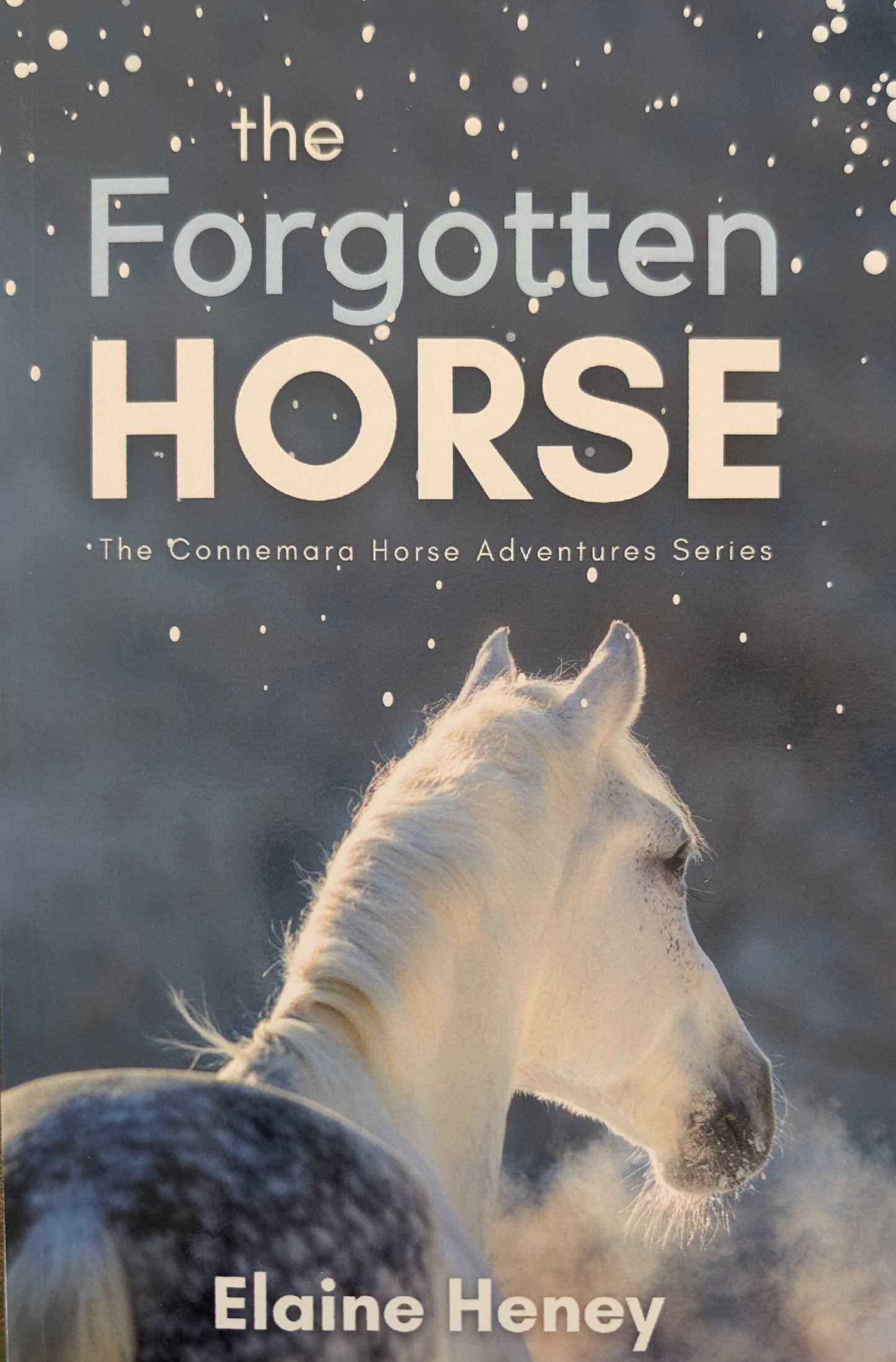 The forgotten horse