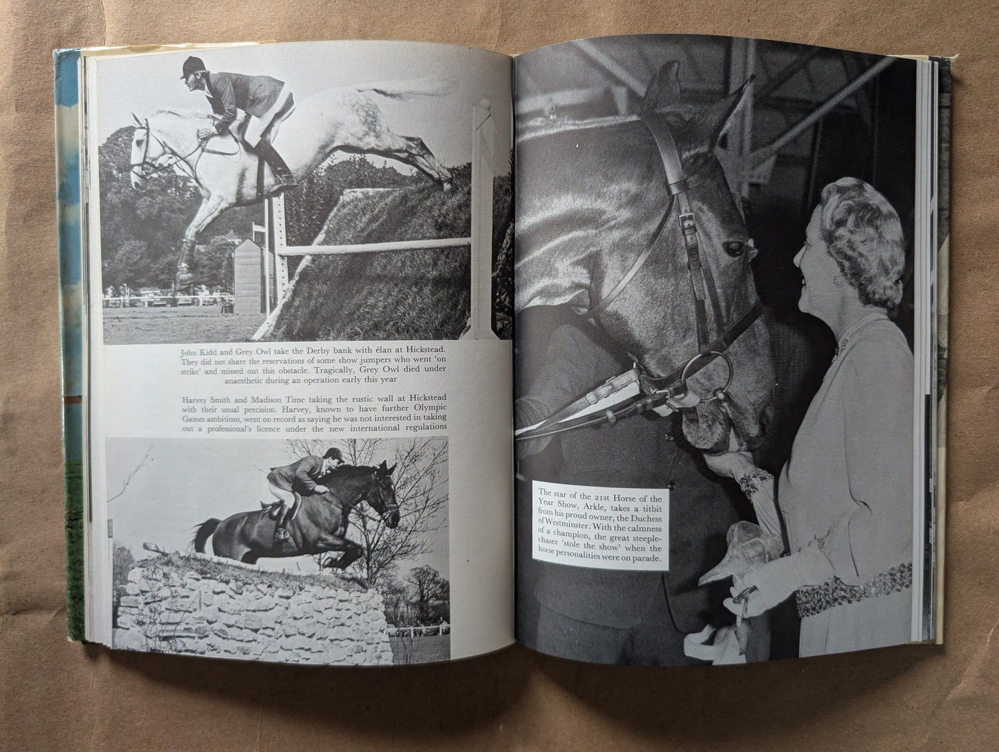 Marion Coakes' Book of Horses No. 3