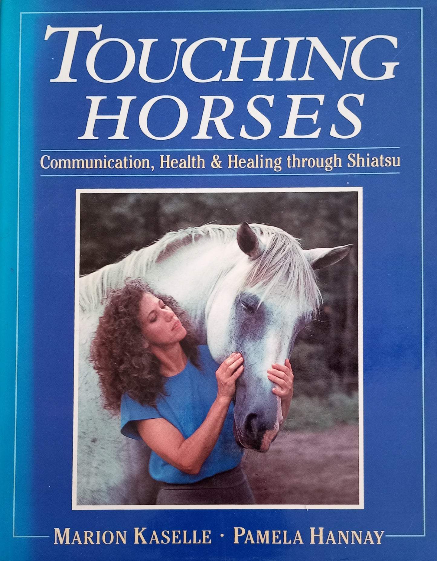 Touching Horses