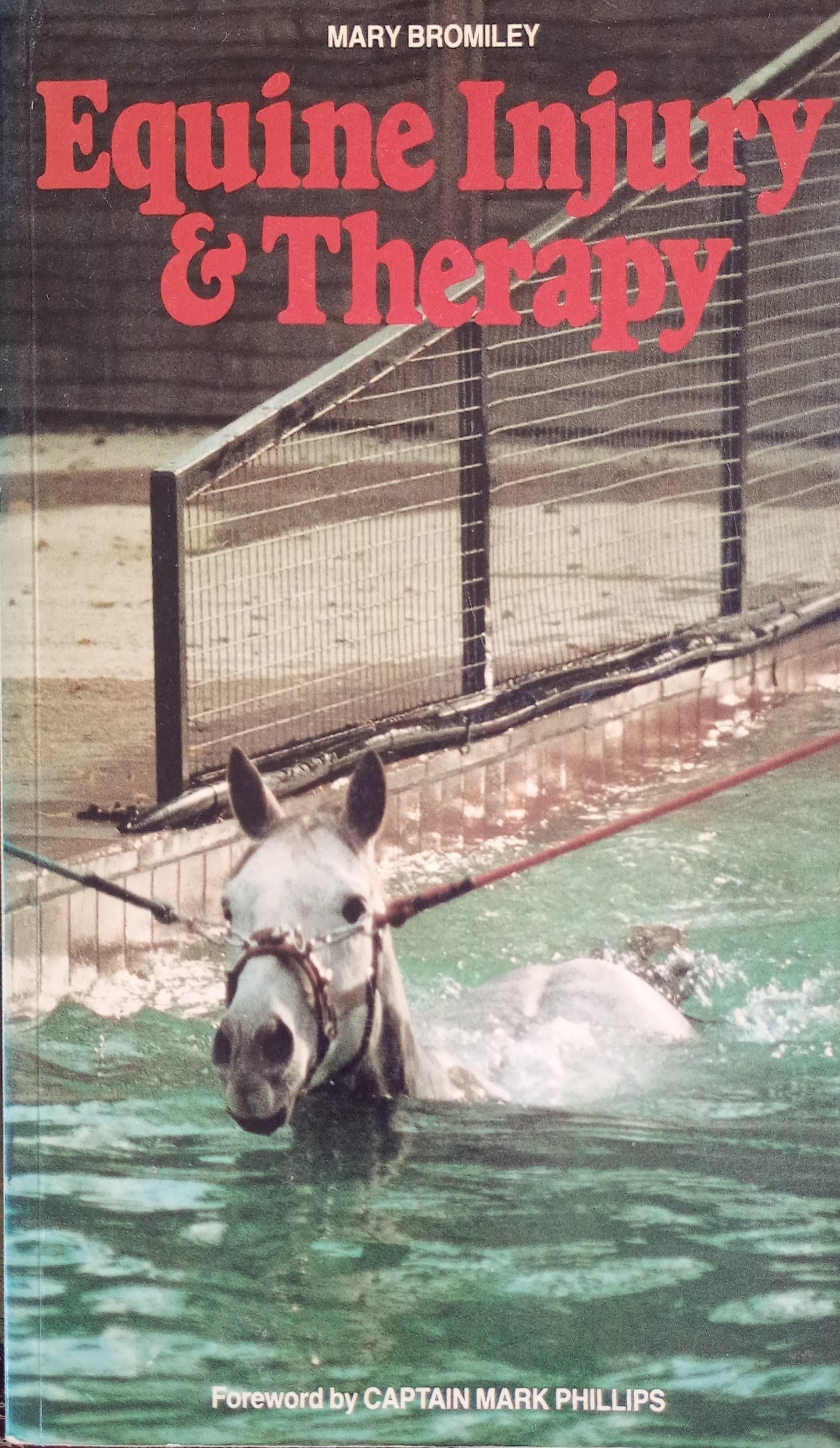 Equine Injury & Therapy