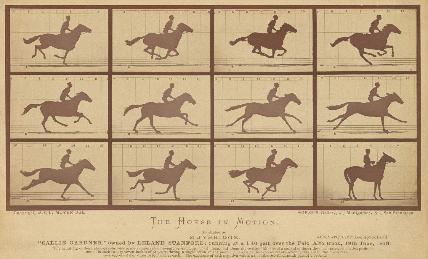 The Horse in Motion