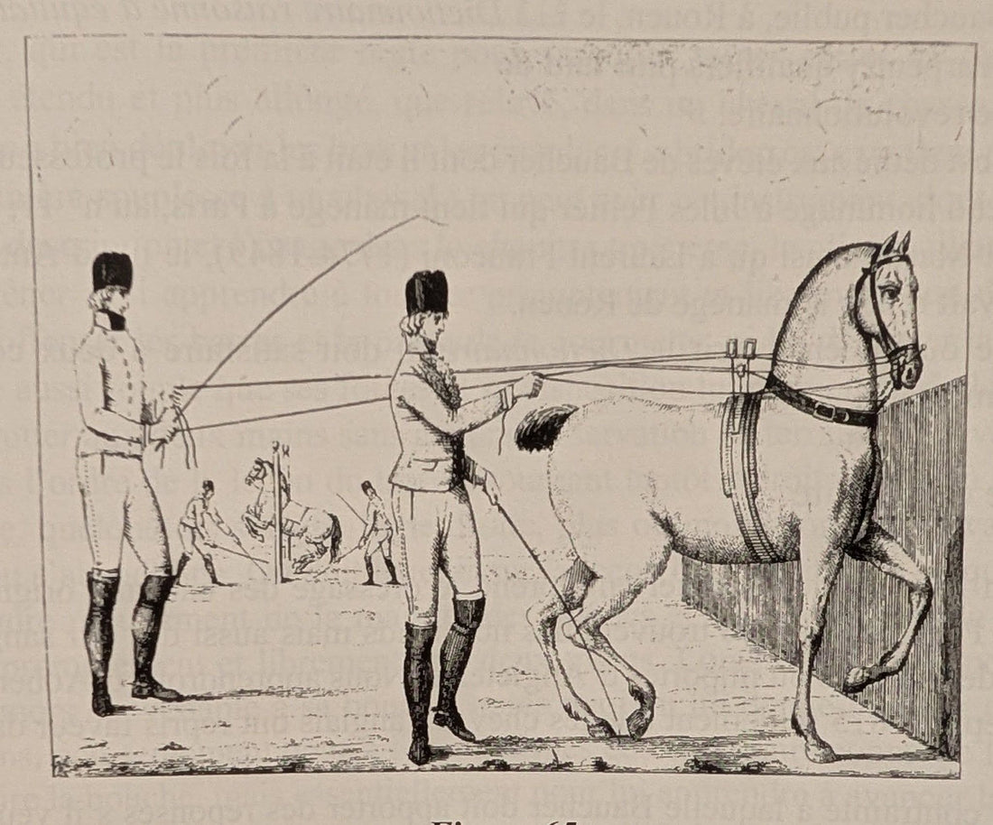 An illustration from Scuola Equestre by Mazzuchelli showing work in long reins and pillars, referenced in Dominique Ollivier's History of the French School