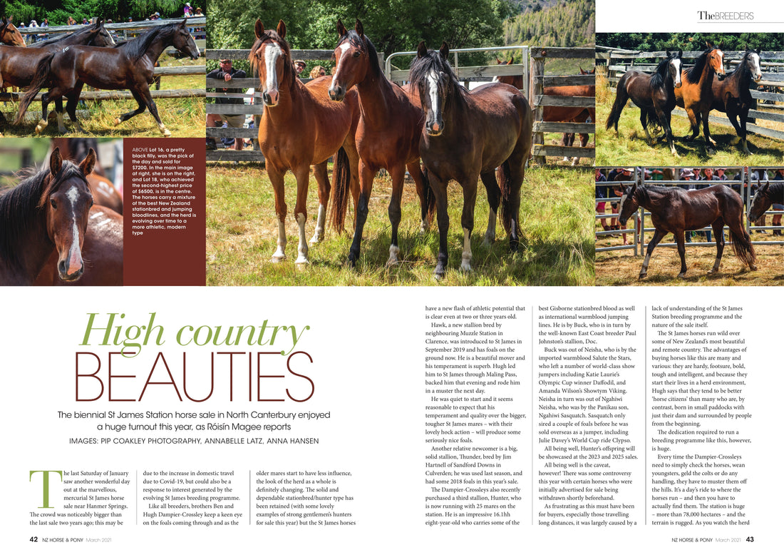 High Country Beauties (March 2021)