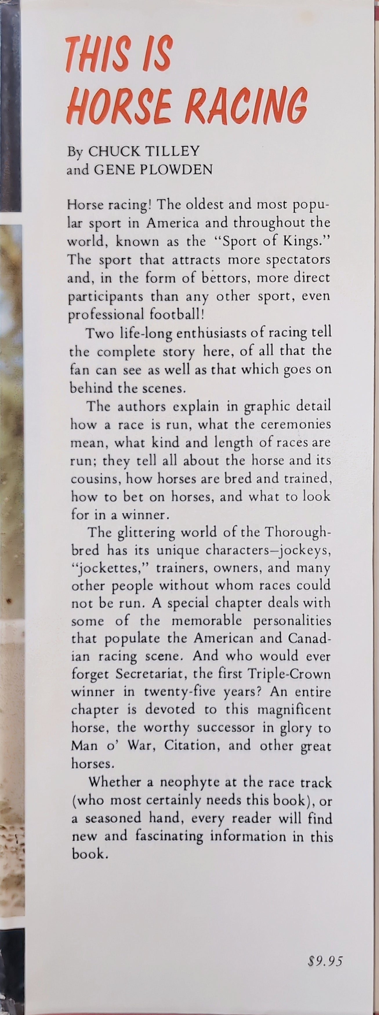 This is Horse Racing