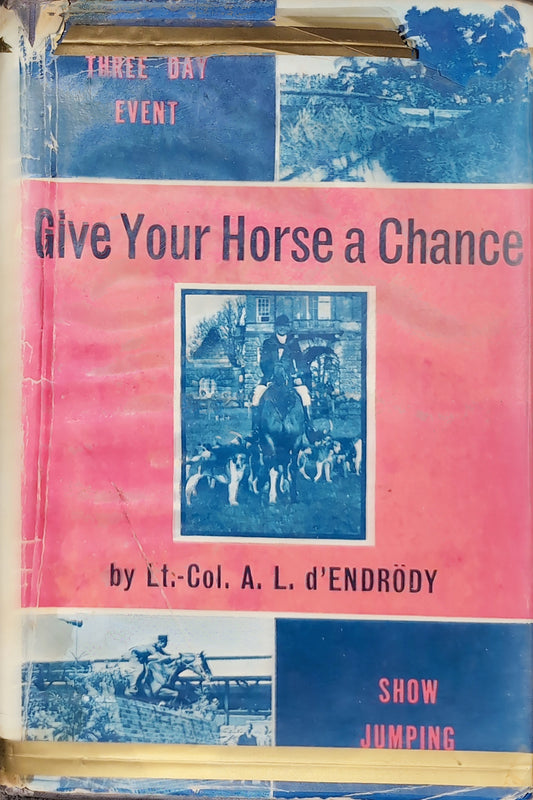 Give Your Horse a Chance