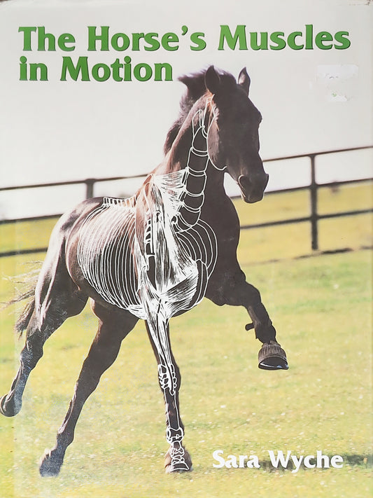 The Horse's Muscles in Motion