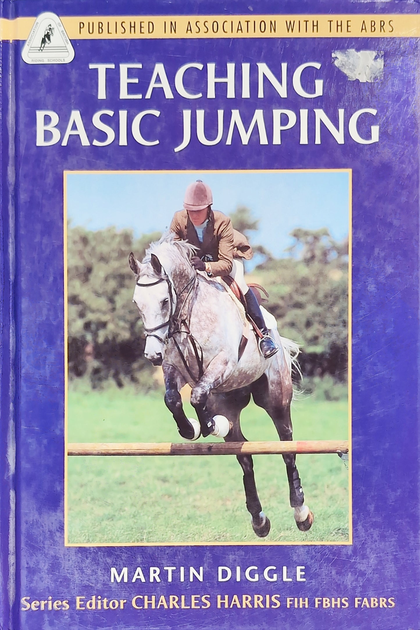 Teaching Basic Jumping