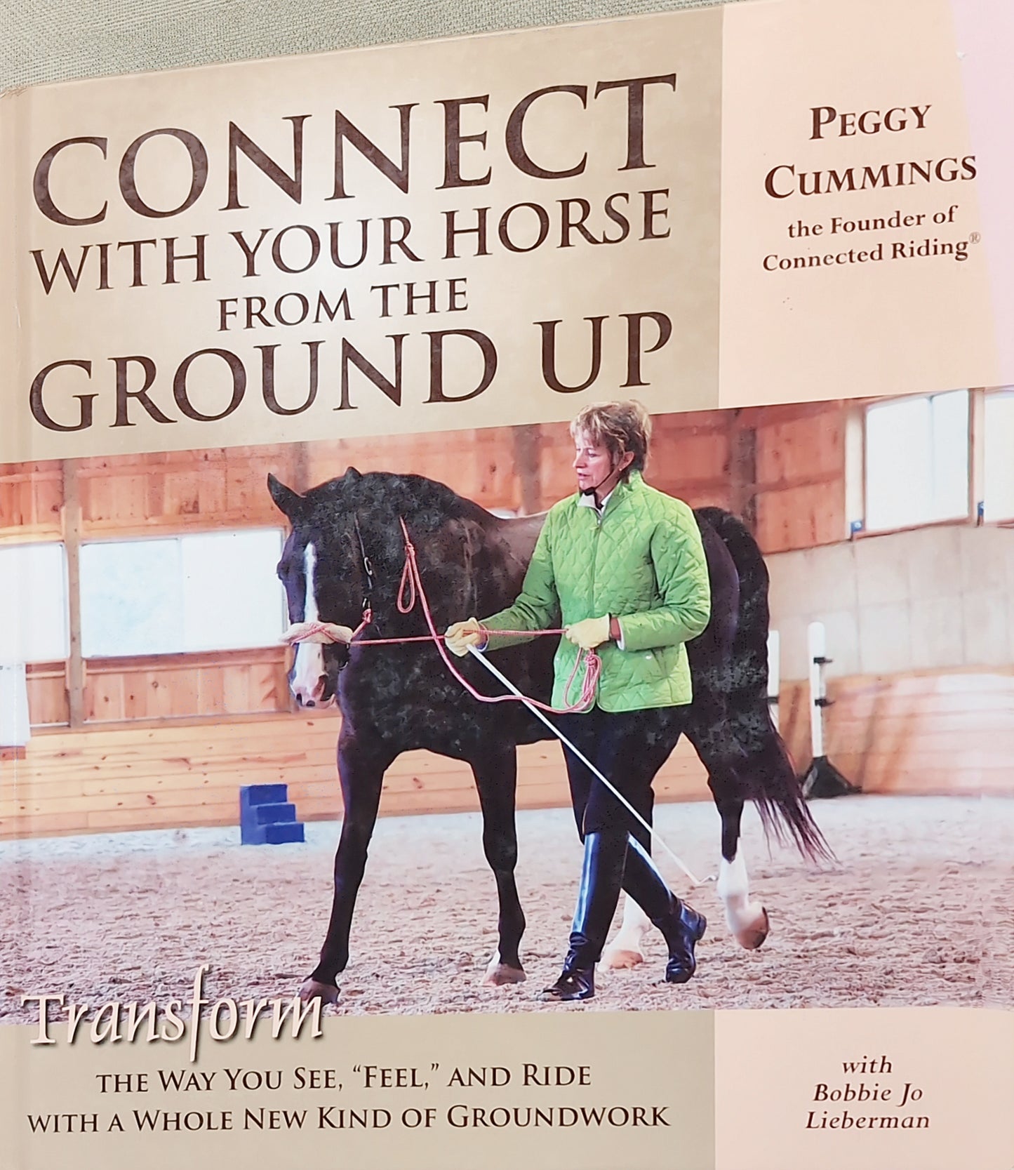 Connect with your horse from the ground up