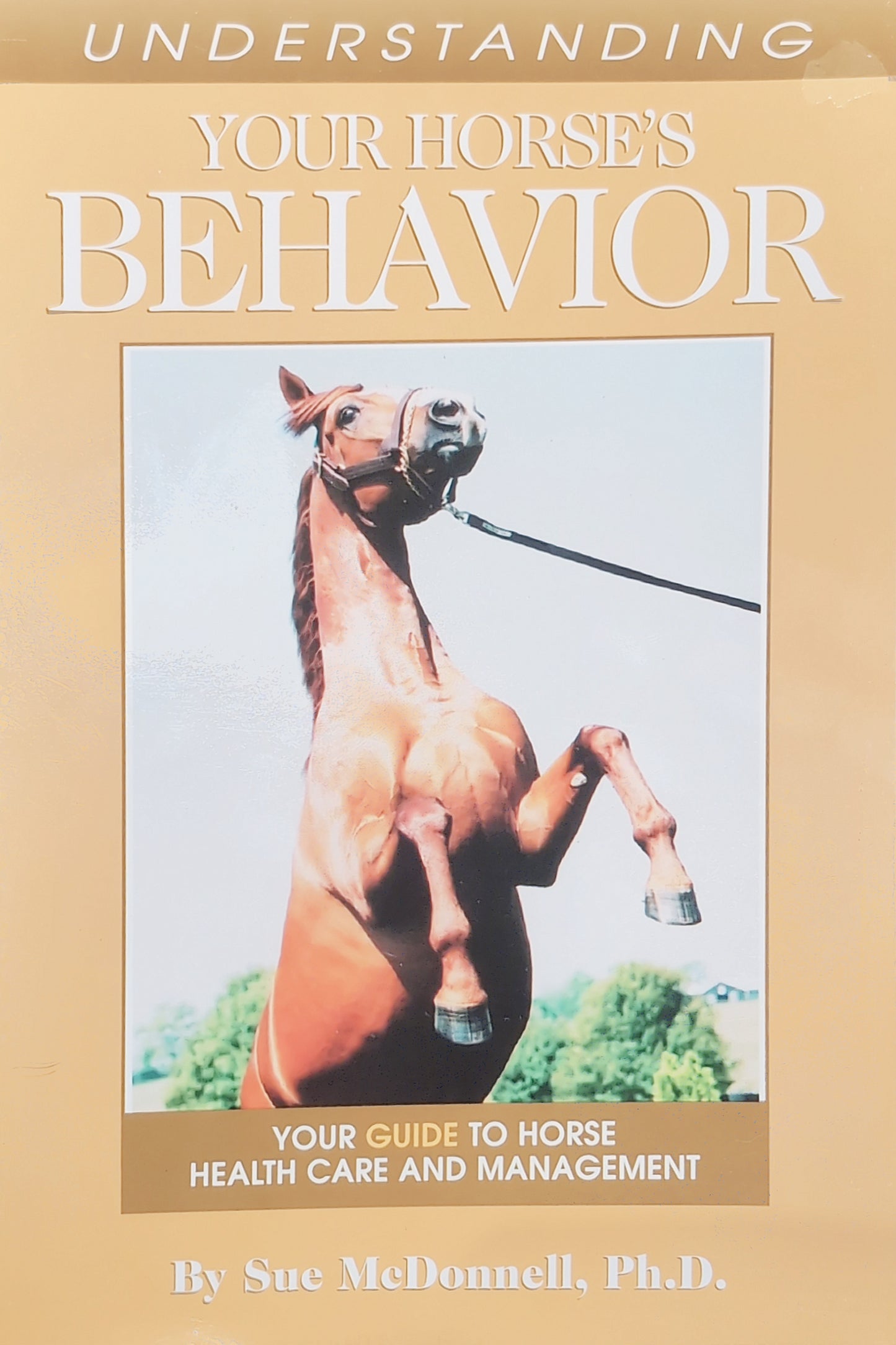 Understanding your horse's behaviour