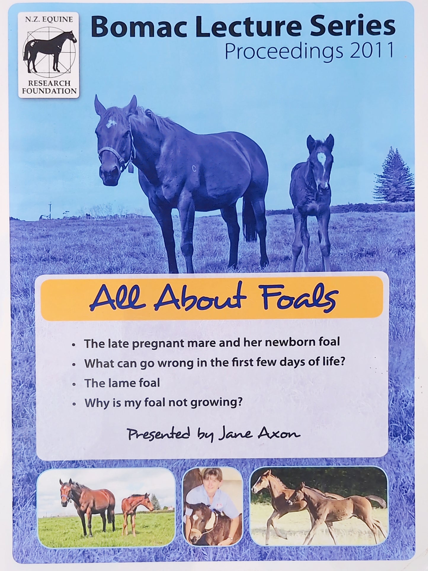 All About Foals