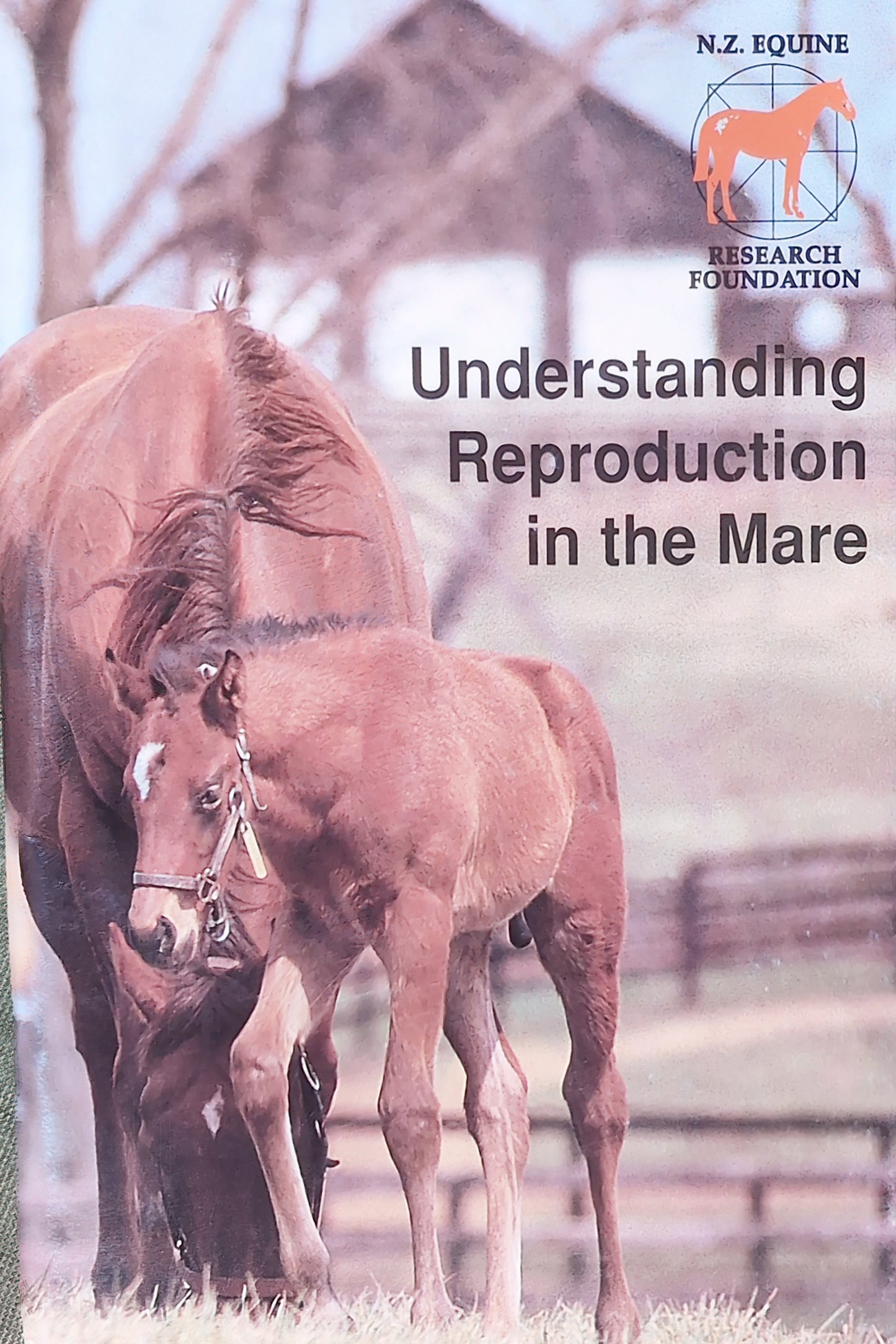 Understanding Reproduction in the Mare