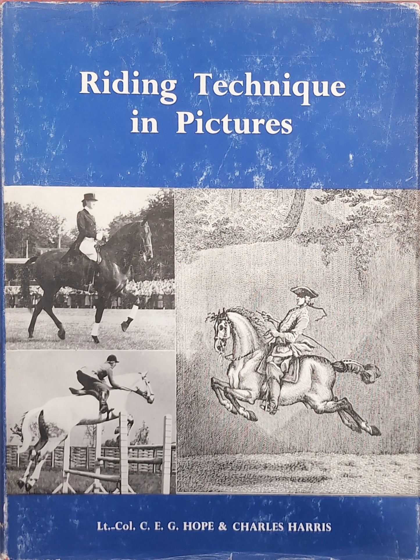 (3rd edition) RIDING Technique in Pictures