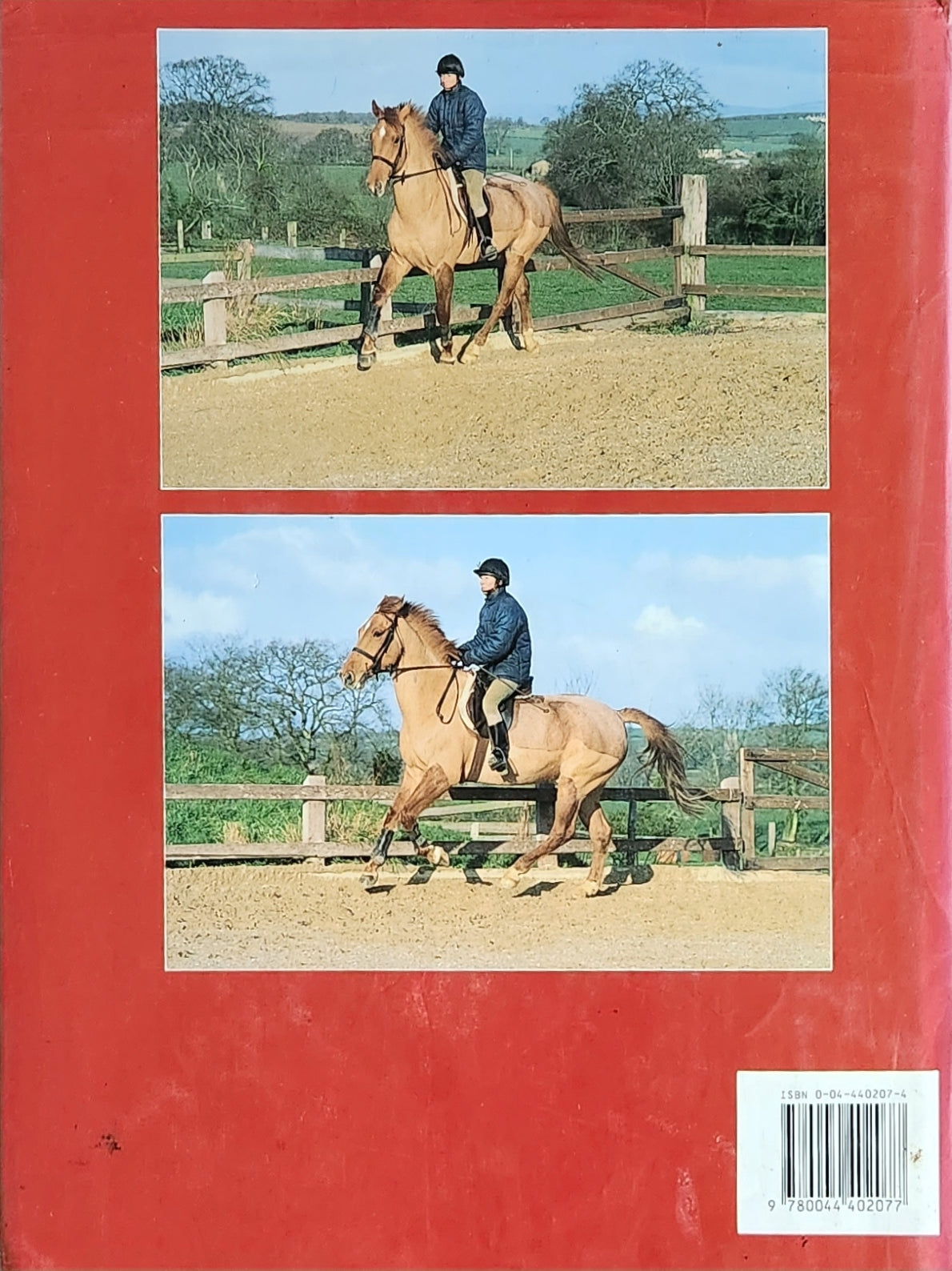 Horse Training & Management