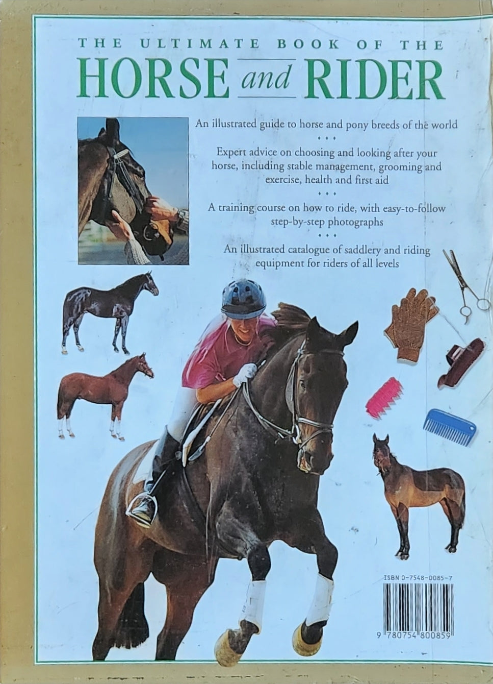 The Ultimate Book of the Horse and Rider