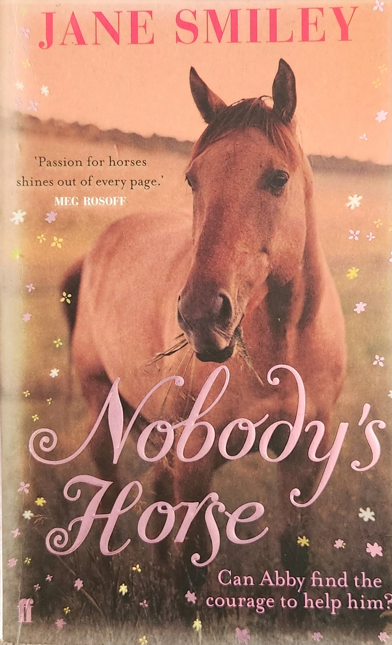 Nobody's Horse