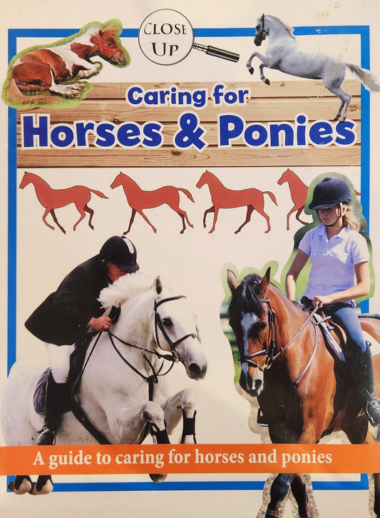 Caring for Horses & Ponies