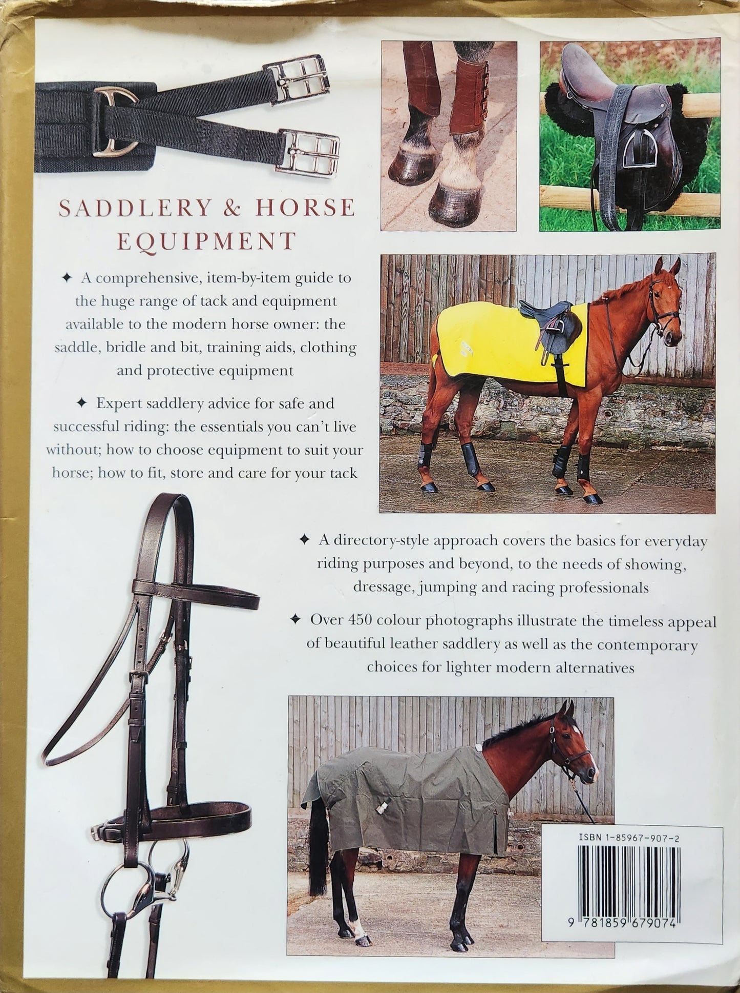 Saddlery & Horse Equipment