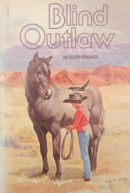 Blind Outlaw