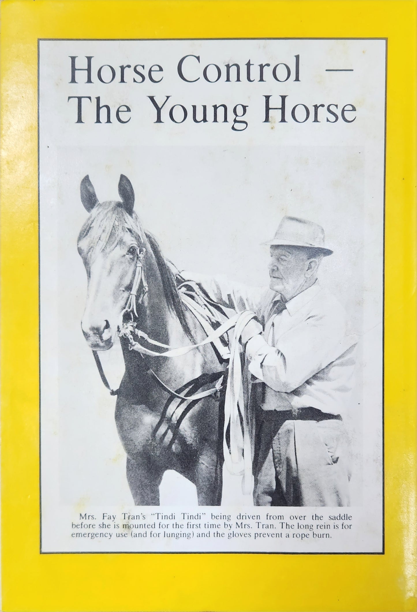 Horse Control: the Young Horse