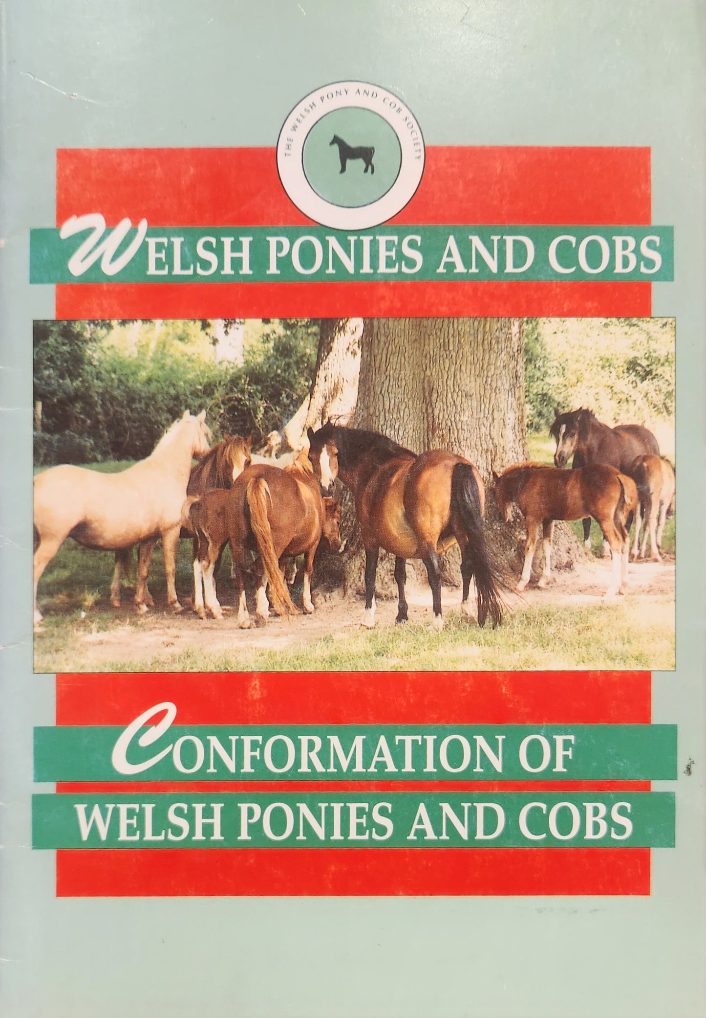 Conformation of Welsh Ponies and Cobs