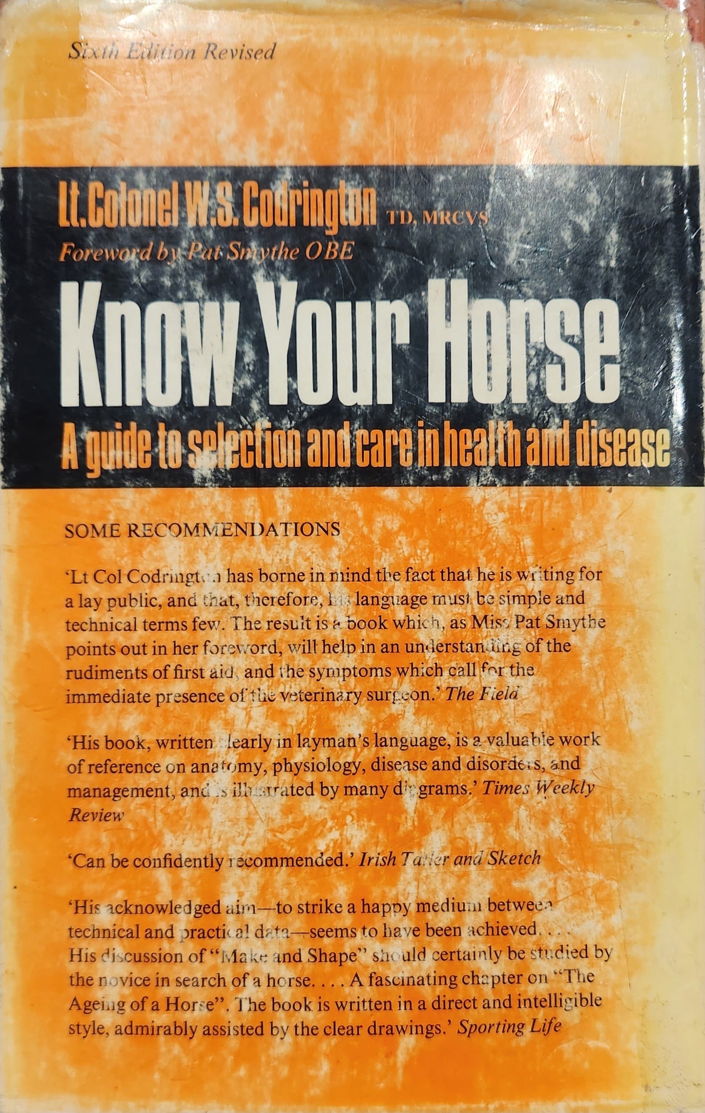 Know Your Horse