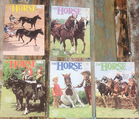 The Horse back issues