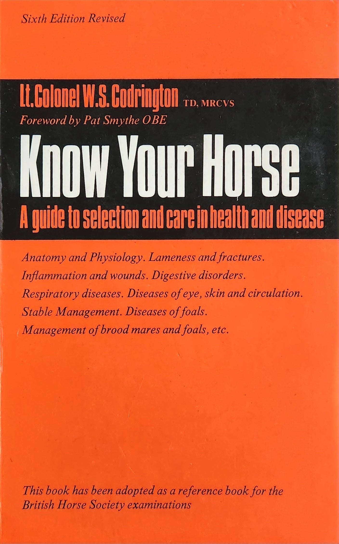 Know Your Horse