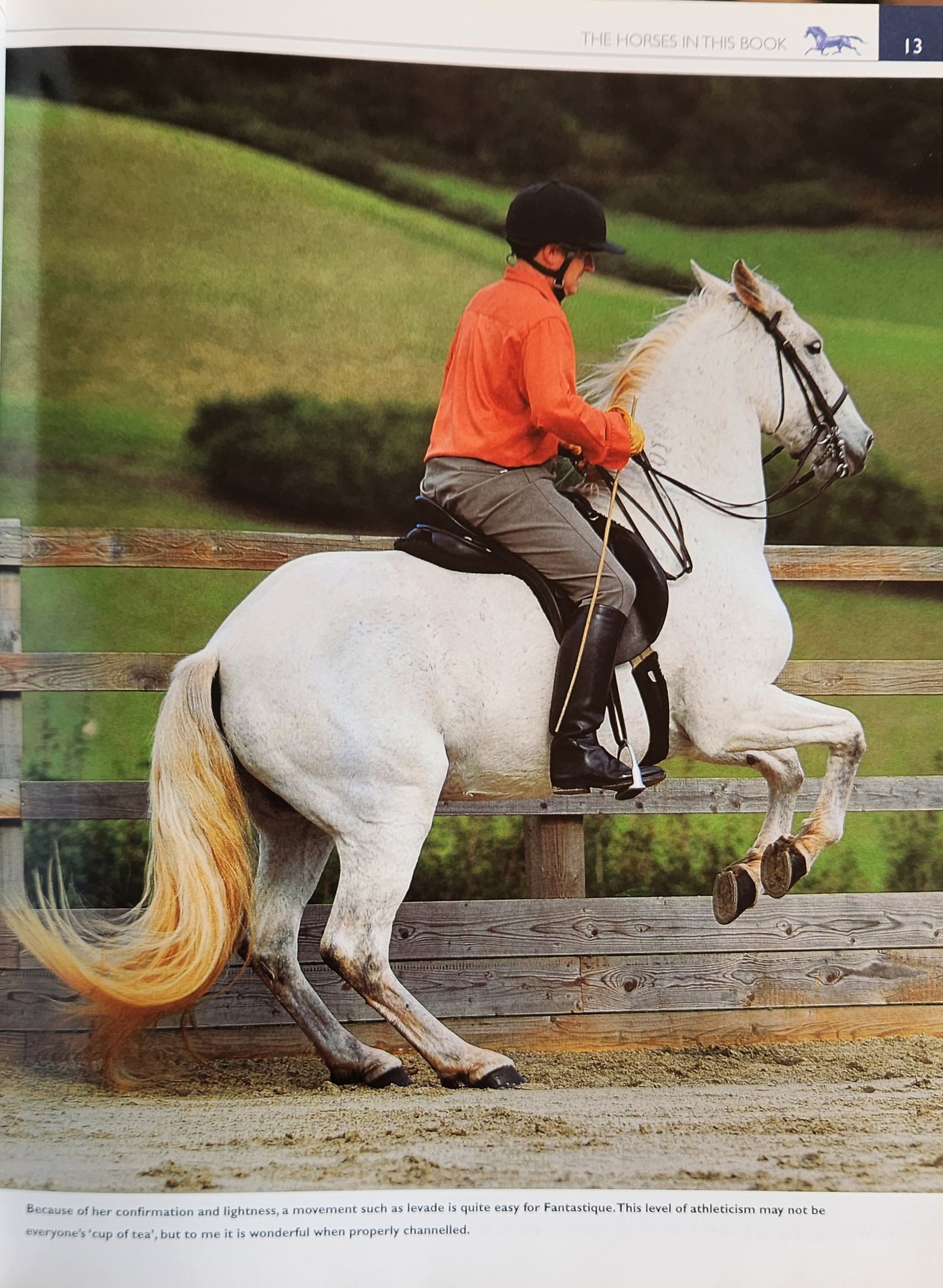 How to create the Perfect Riding Horse