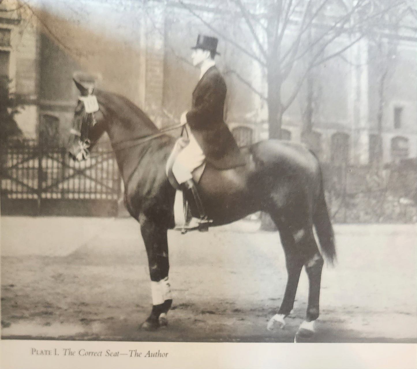 Dressage Riding