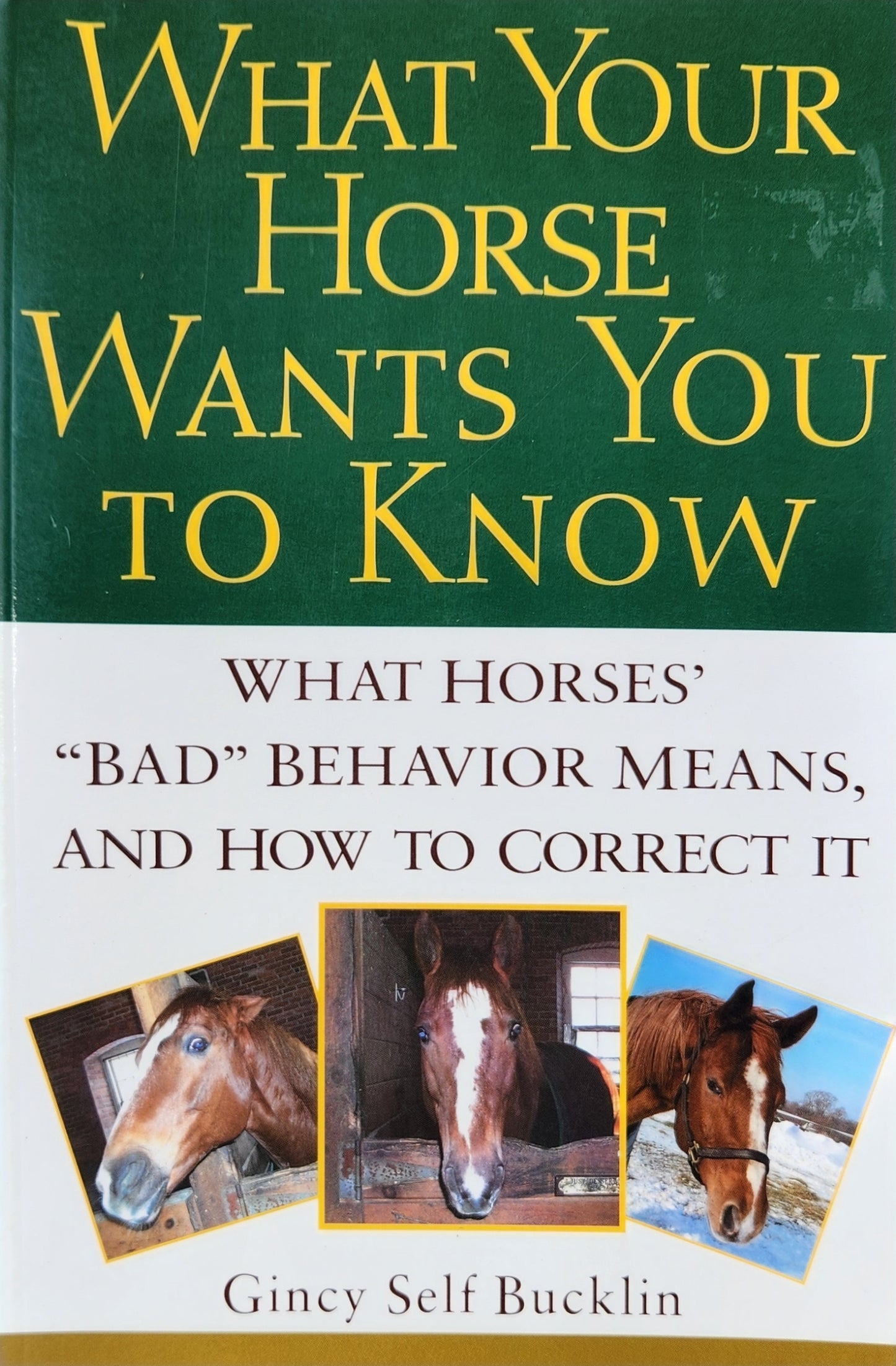 What Your Horse Wants You To Know