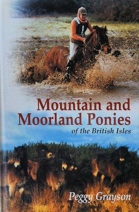 Mountain and Moorland Ponies