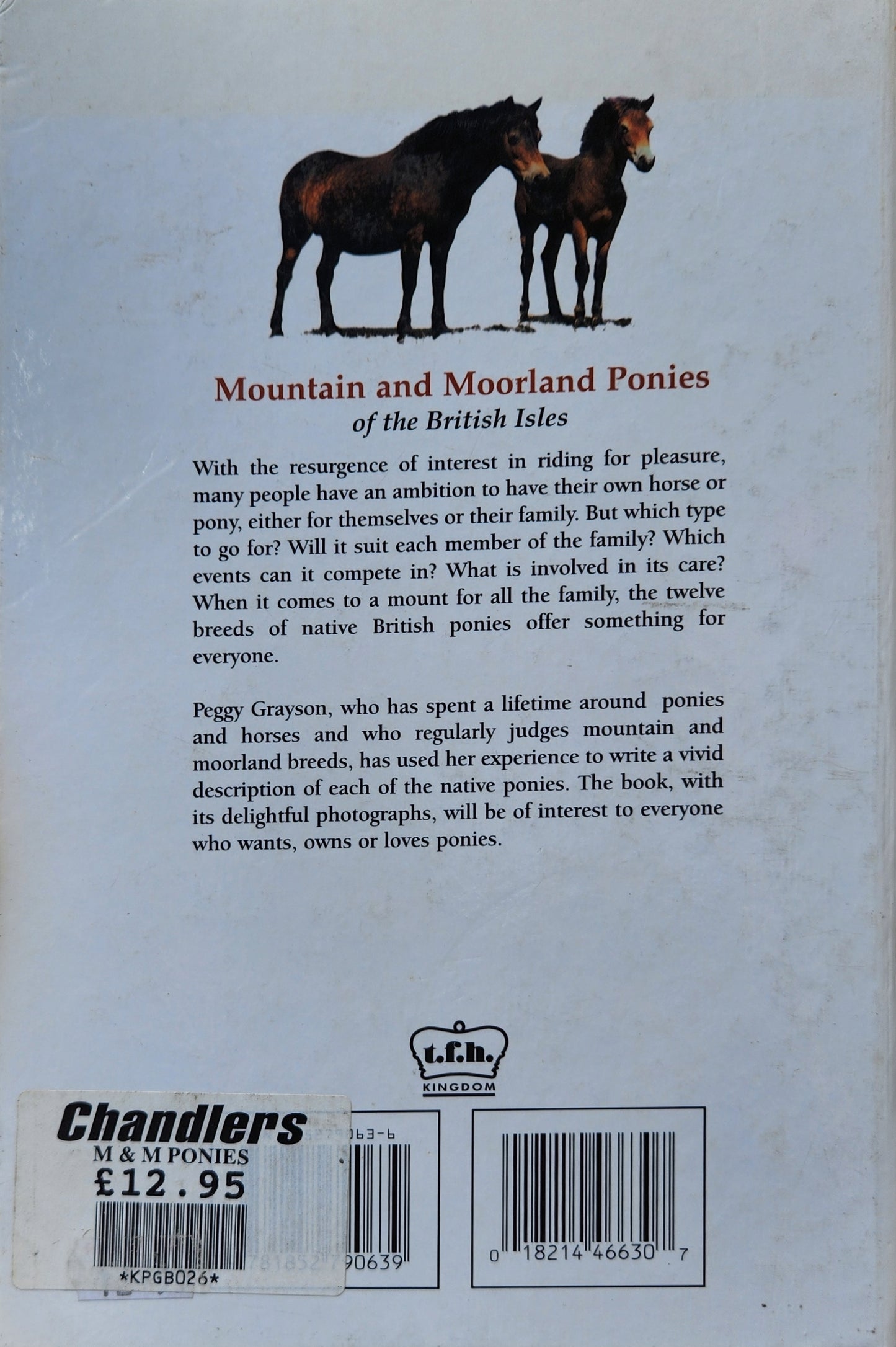 Mountain and Moorland Ponies