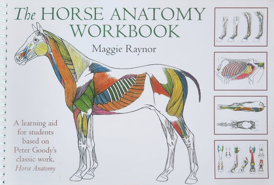 Horse Anatomy Workbook