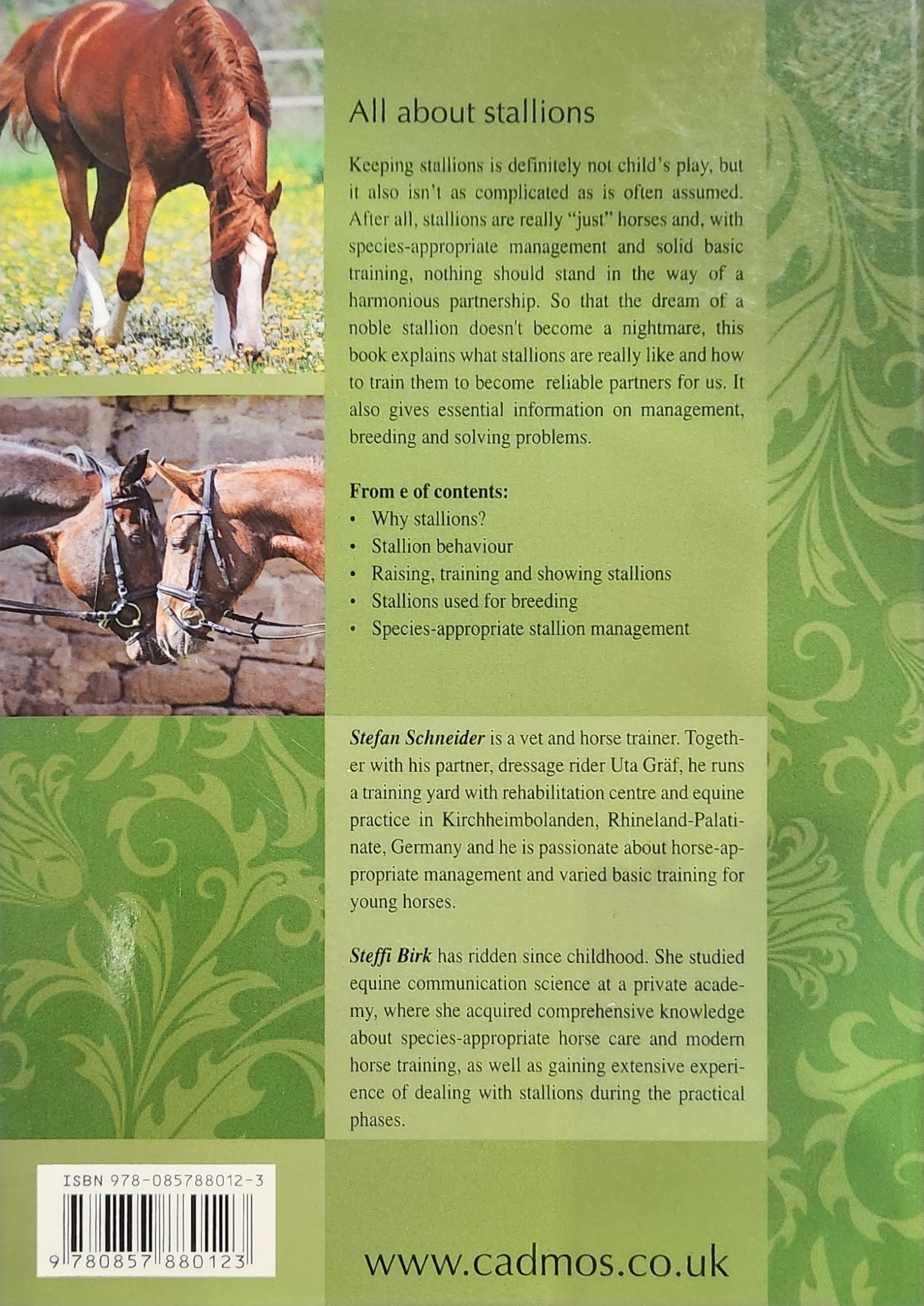 Stallions - care and management