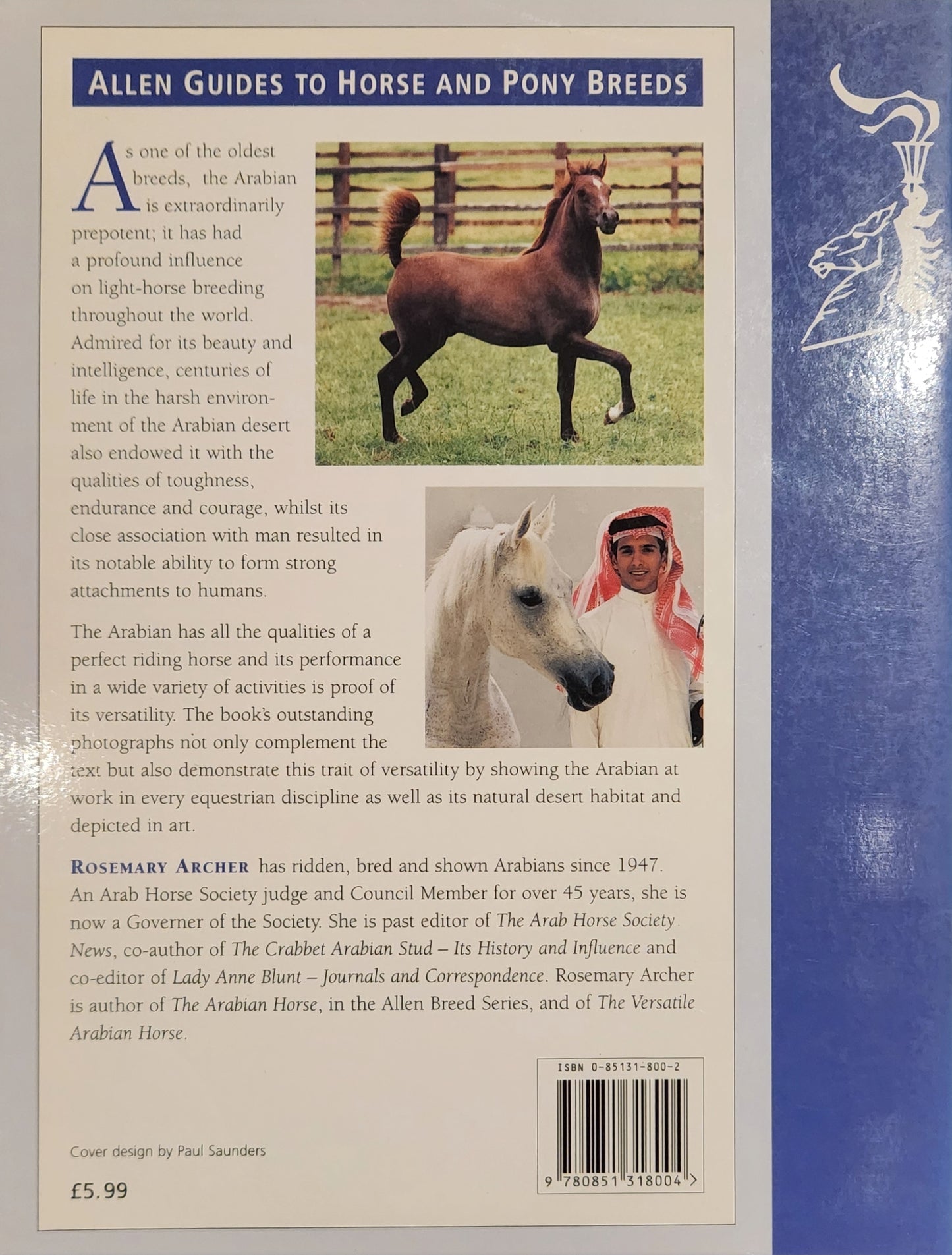 The Arab Horse