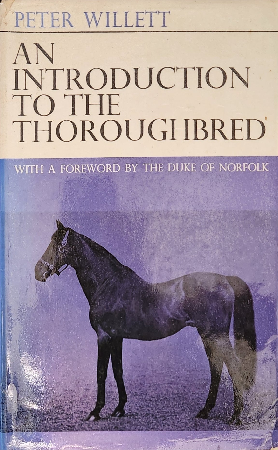 An Introduction to the Thoroughbred