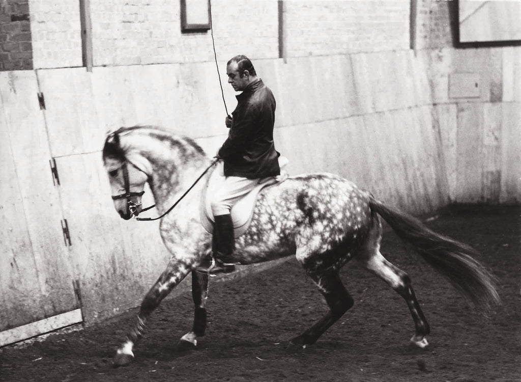 Equestrian Art: the collected later works of Nuno Oliveira