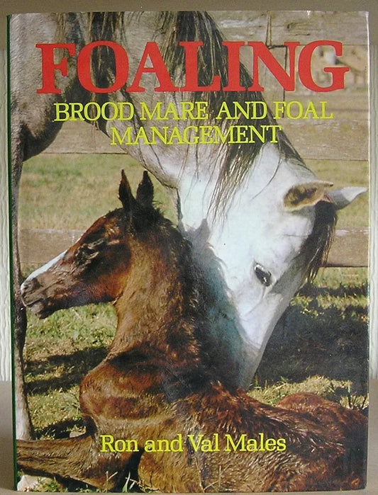 Foaling - Brood Mare and Foal Management