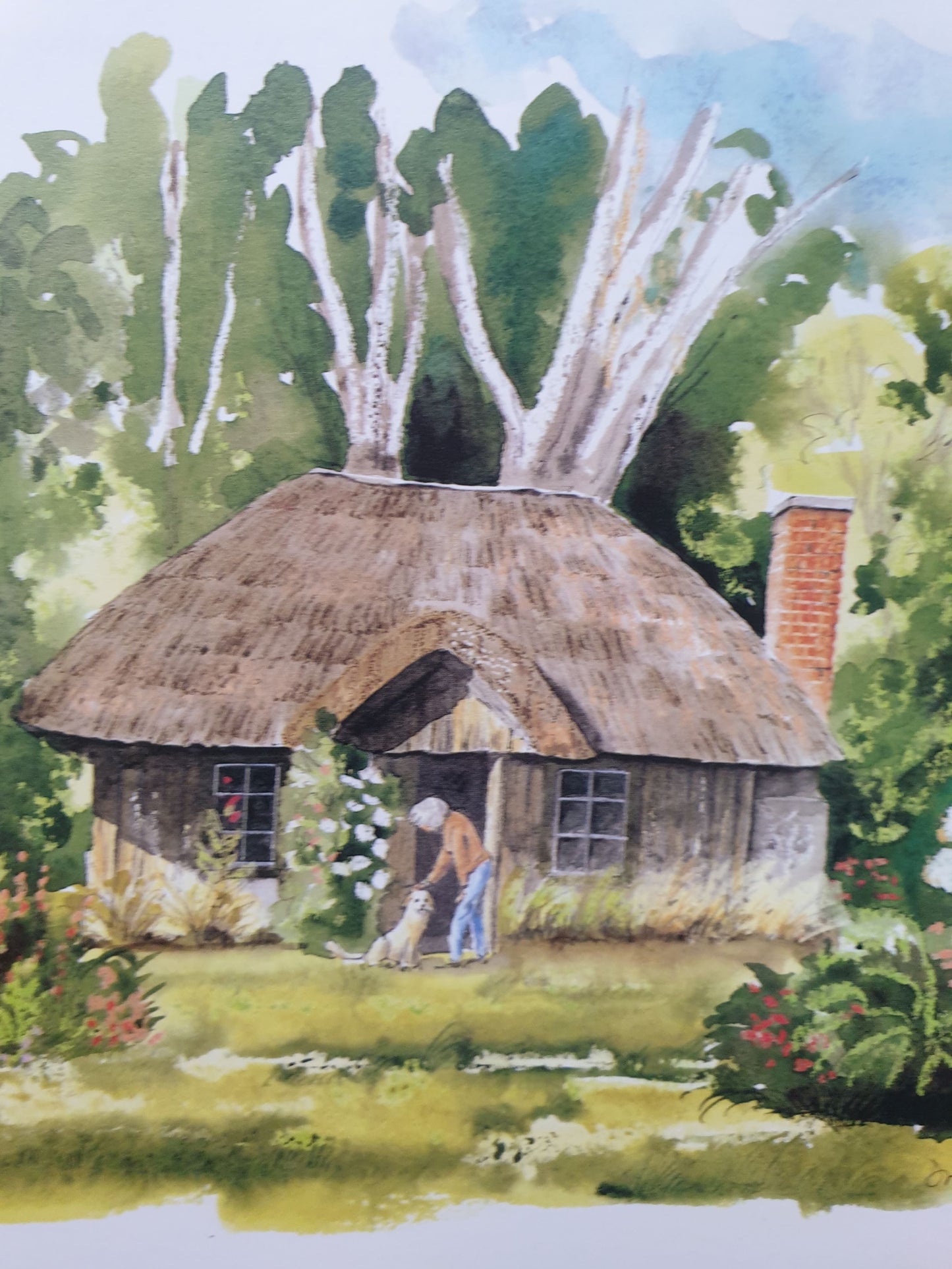 New Zealand House & Cottage